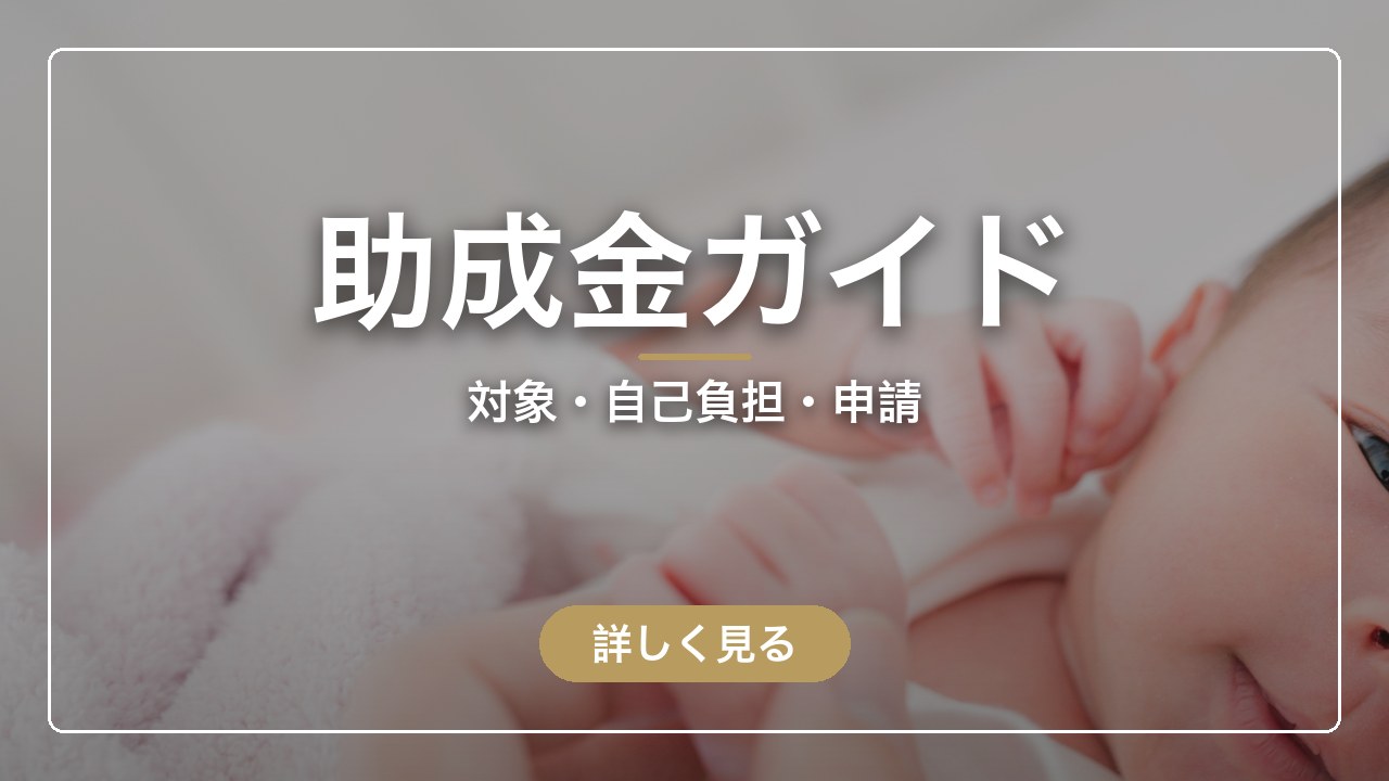 助成金ガイド｜対象・自己負担・申請（ママのとまり木）