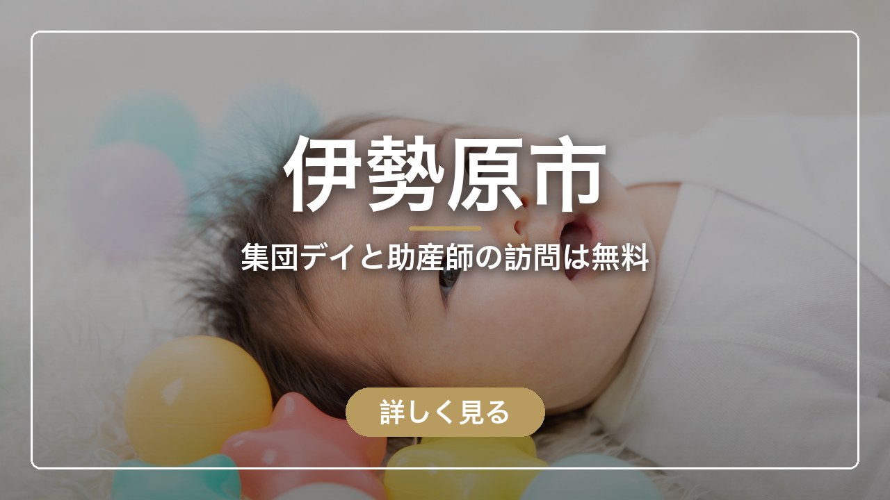 伊勢原市｜集団デイと助産師の訪問は無料（ママのとまり木）